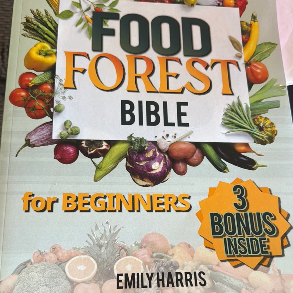 Colorful Cookbook for Kitchen Enthusiasts